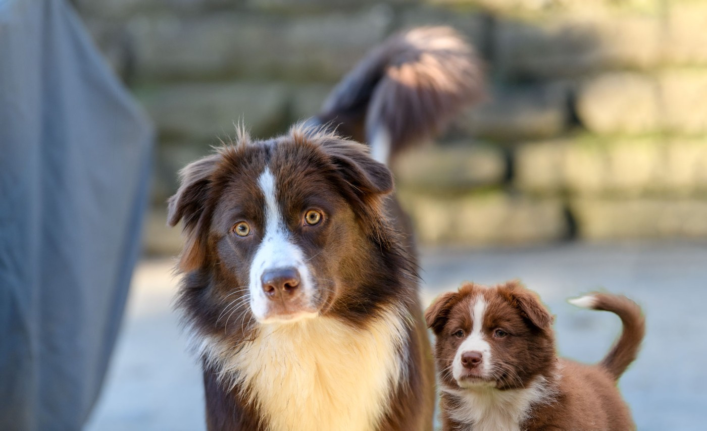 Und du bist NIKI of the smiling house