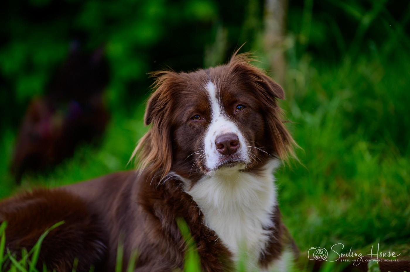 Und du bist NIKI of the smiling house