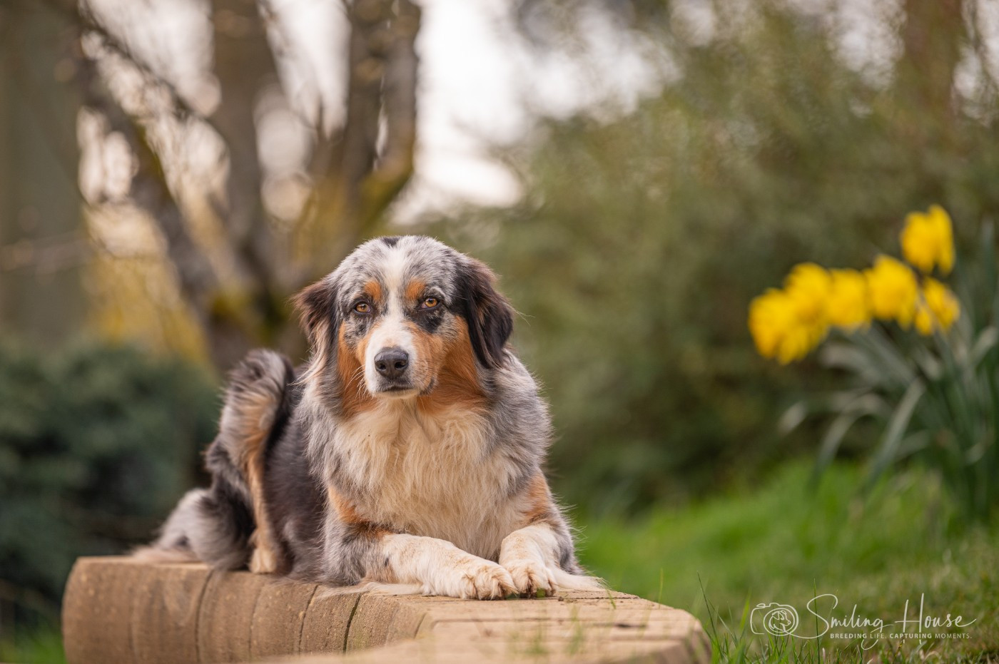 Nora of the smiling house