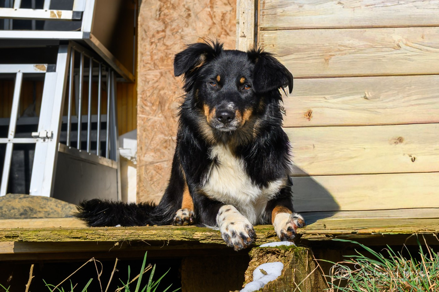 Yuna of the smiling house